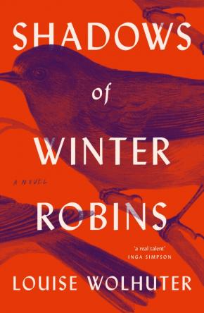 Shadows of Winter Robins